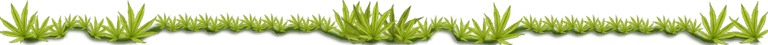 weed_devider_leafs.png