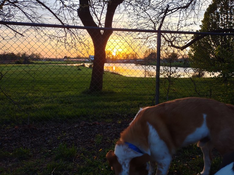img_0.19565838201239943.jpg