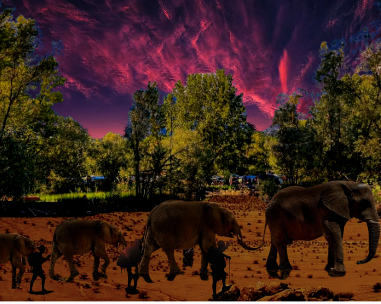 elephant.png