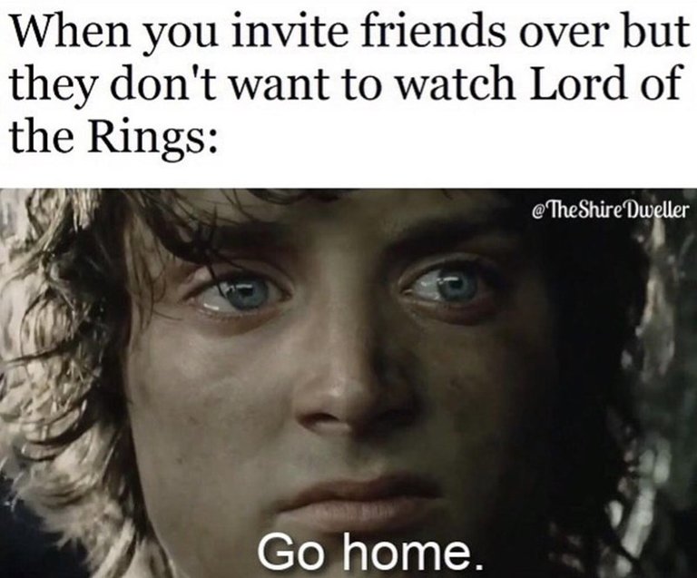 person_invite_friends_over_but_they_dont_want_watch_lord_rings_shire_dweller_go_home.jpeg