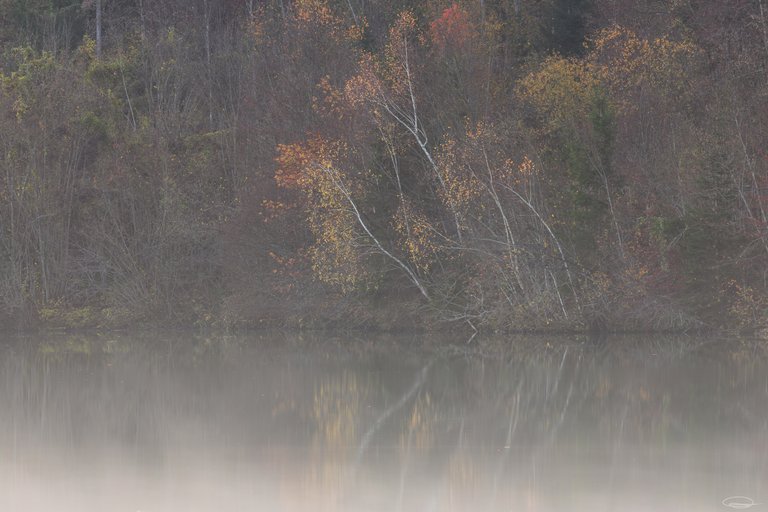 Morning Walk at the Reservoir - Johann Piber