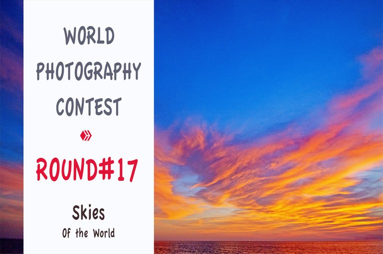 world_photography_contest_music_copie