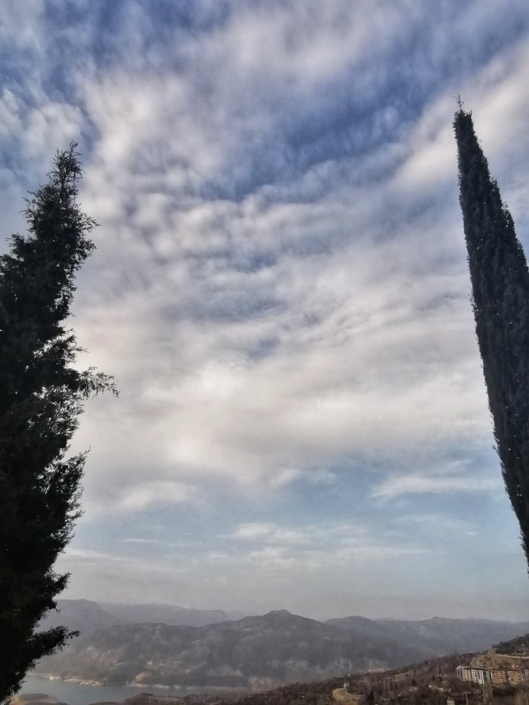 img_20211213_092121_01.jpeg