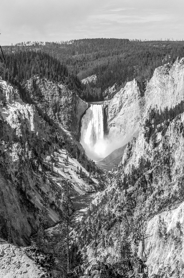 new_bw_yellowstone_10.jpg