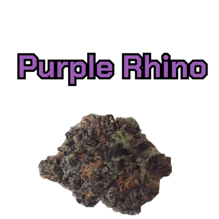 purple_rhino_with_name_.png