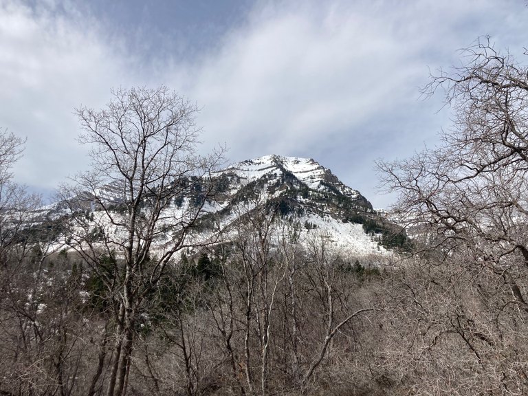 Peak