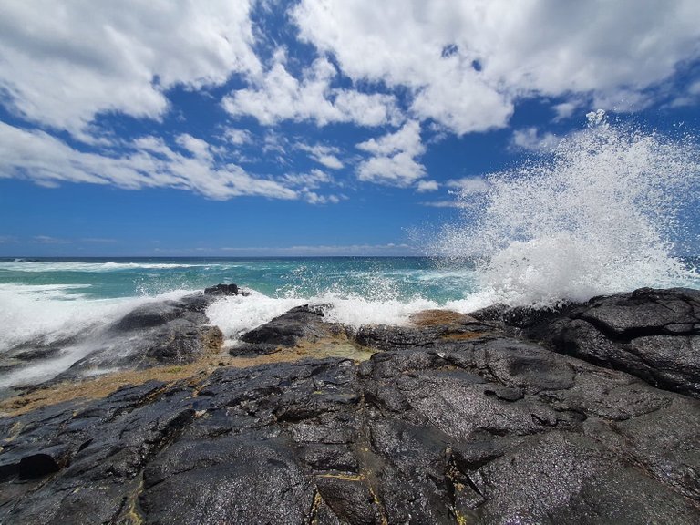 fraser_island_oct_2020_269.jpg