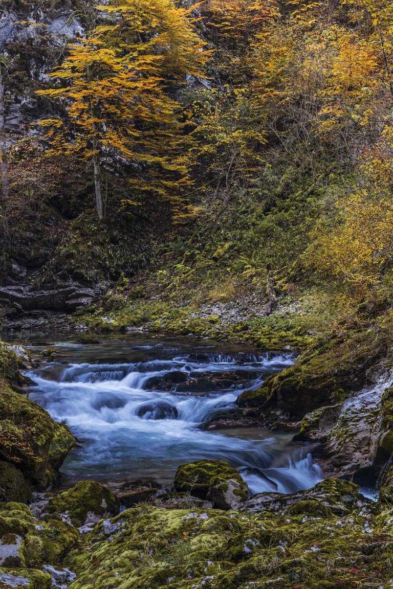 2021_10_28_vintgar_gorge_8136_3000px.jpg