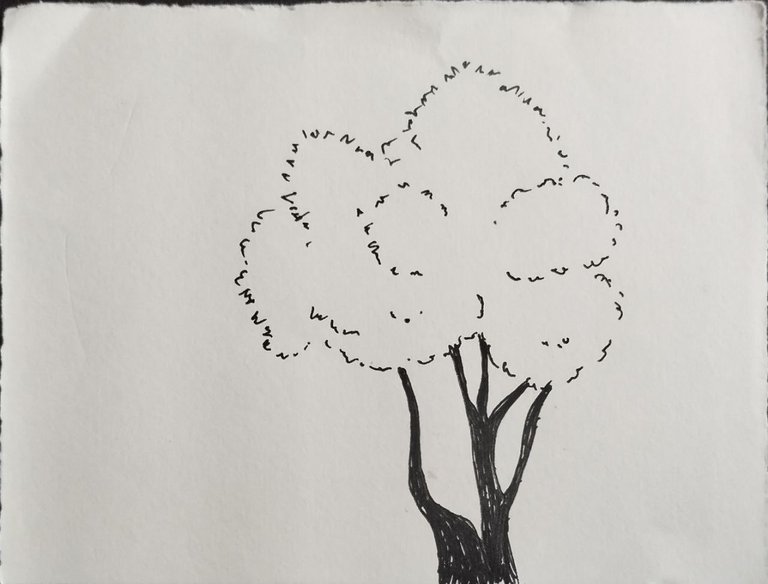 Autumn Tree