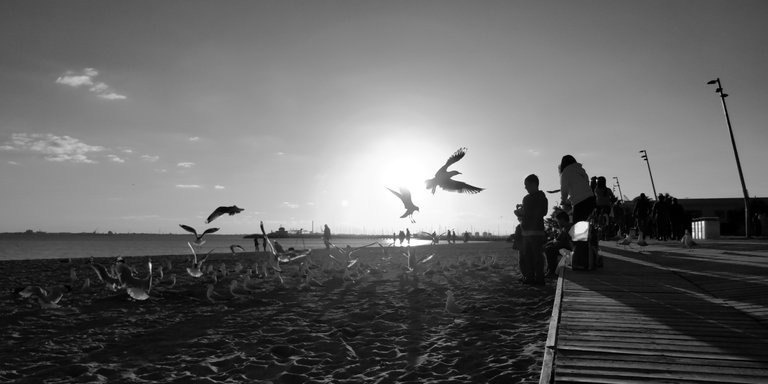 family_playing_by_the_promenade_at_sunset_1.jpg