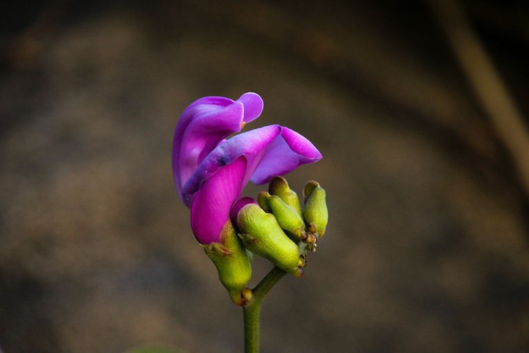 img_5003.jpg