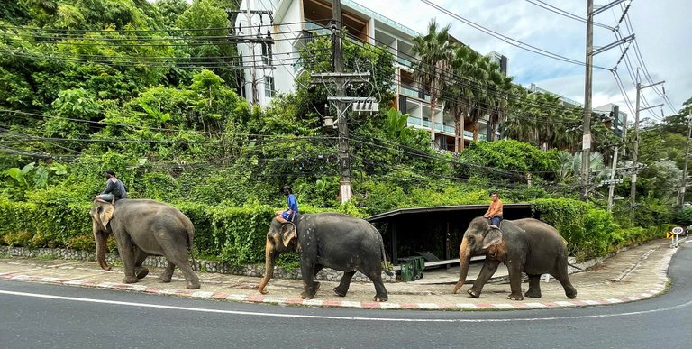 phuket_28.jpg