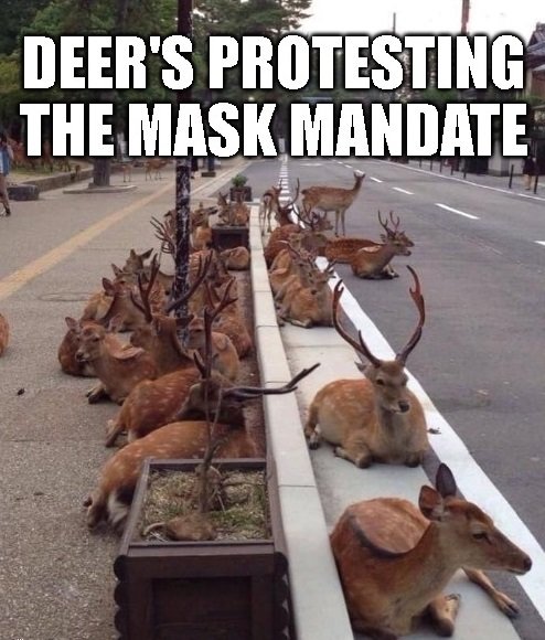 deer_protest.jpg