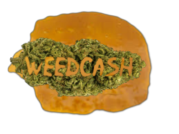 weedcash_dabs_bud.png