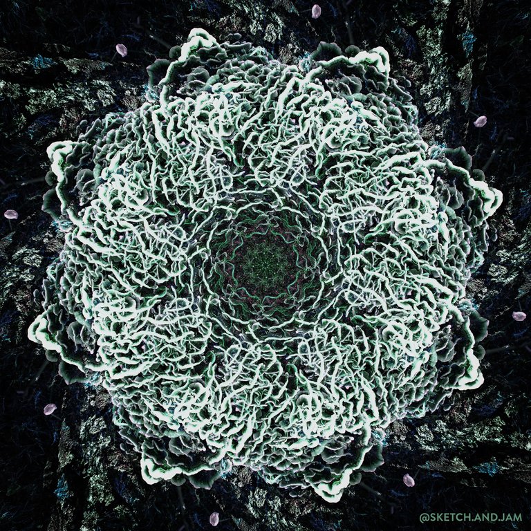 mushroommandala2_copy