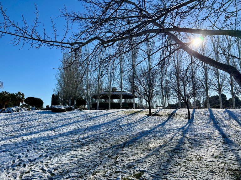 Paseando sobre la nieve // Walking in the snow