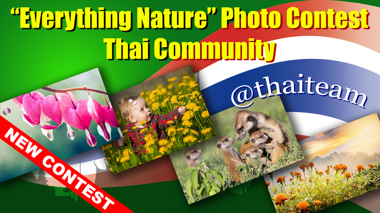 everything_nature_photography3.png