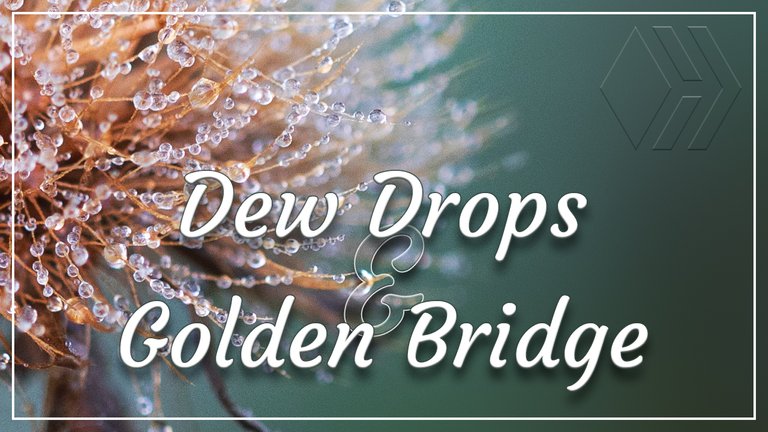 Dew Drops and a Golden Bridge - Sunrise at the Reservoir