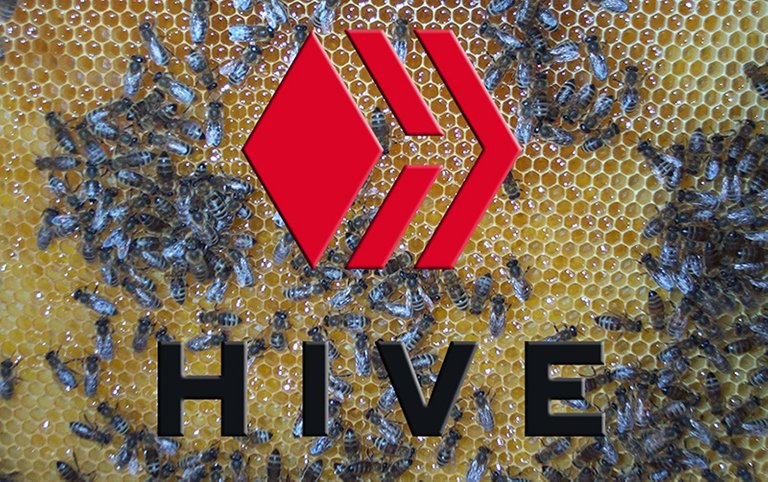 hive_logo.jpg