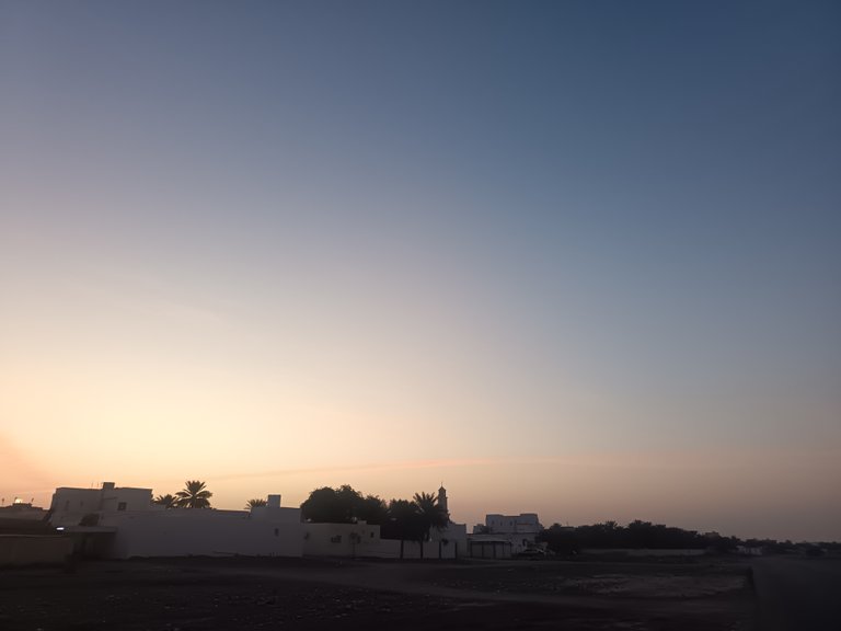 Alive and Thriving on Tuesday, July 08, 2025 | Short Chamber Story | Photography