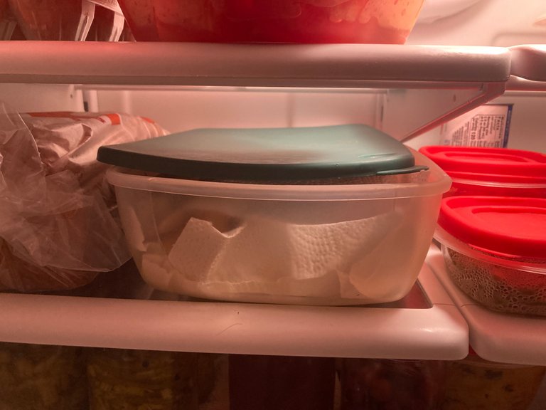 Fridge