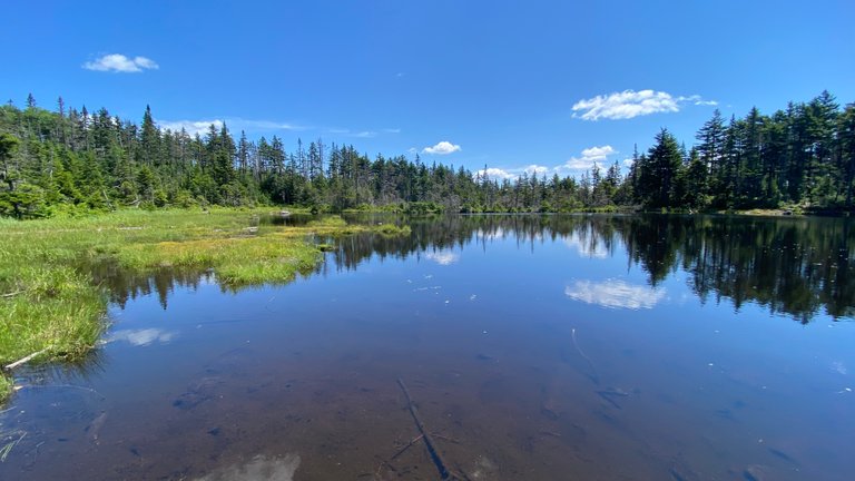 Wetlands