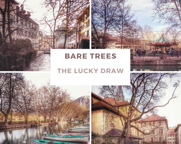 bare_trees_the_lucky_draw.png