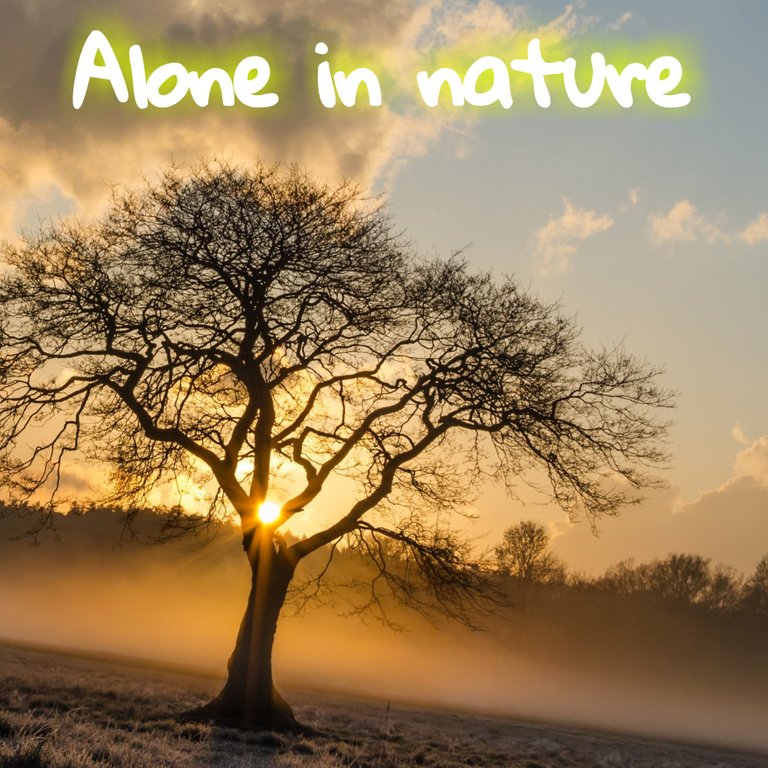 alone_in_nature.jpg