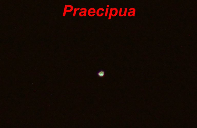 img_1079_c_pia.jpg