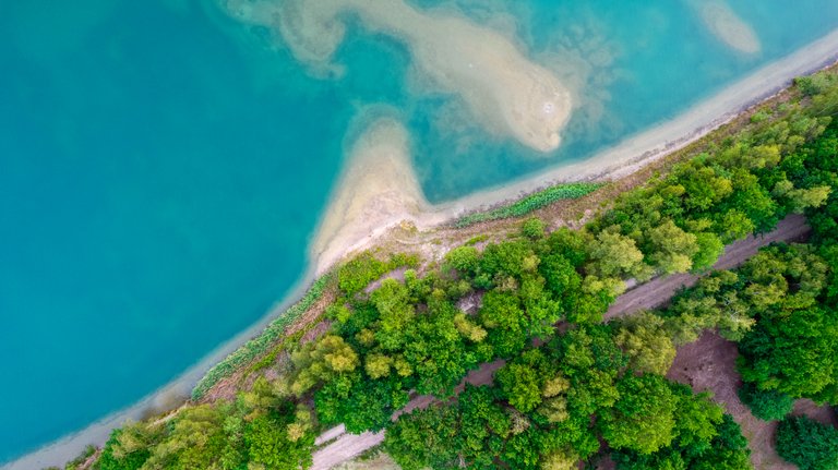 🌲 “Forest, Flight & Fire Skies” — A Walk, A Drone, and a Lesson in Perspective 🌅