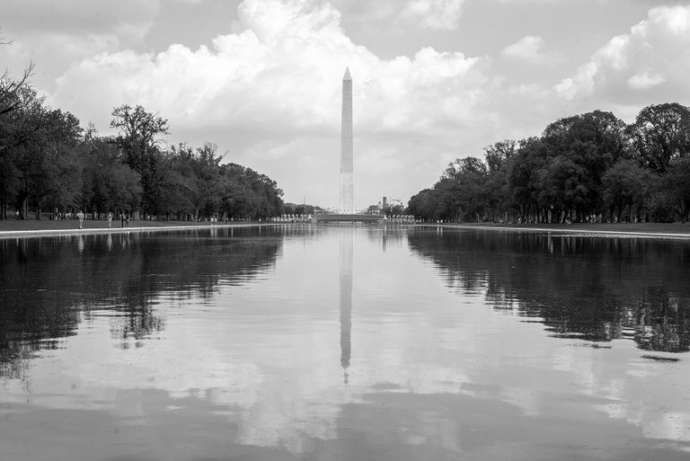 wash_mon_reflections_bw_1.jpg