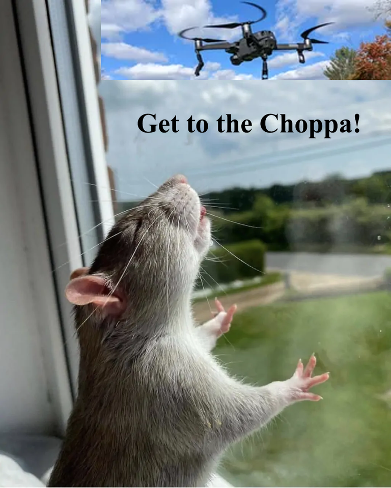get_2_the_choppa