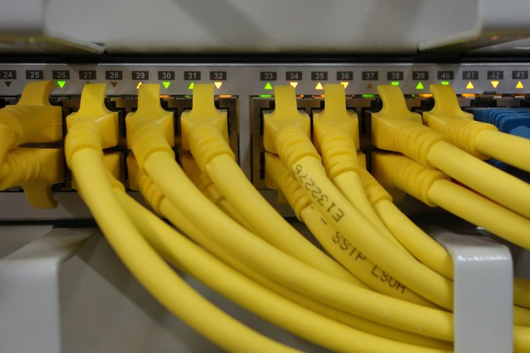 network_cables_499792_1920.jpg