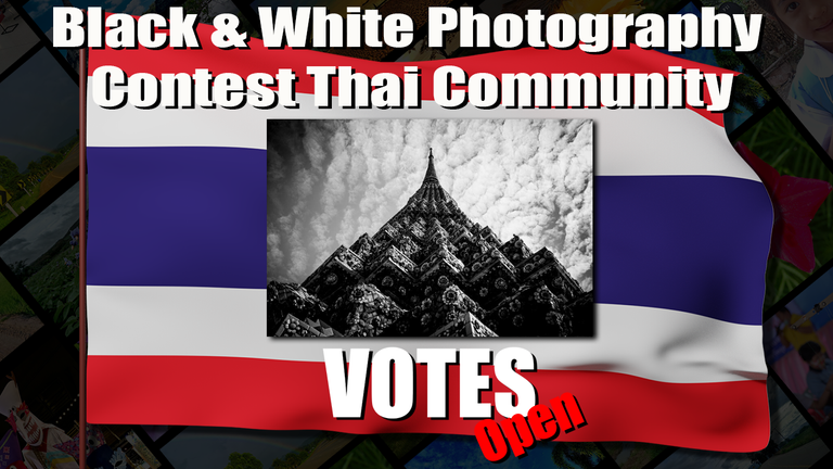 black_and_white_vote.png