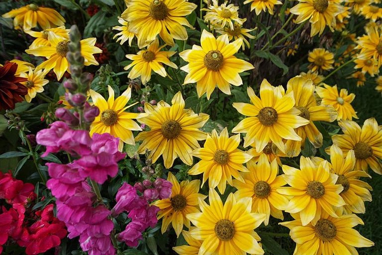 flower_8.jpg
