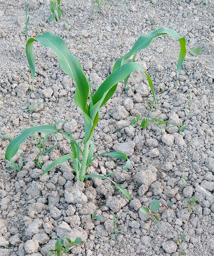 field8.jpg