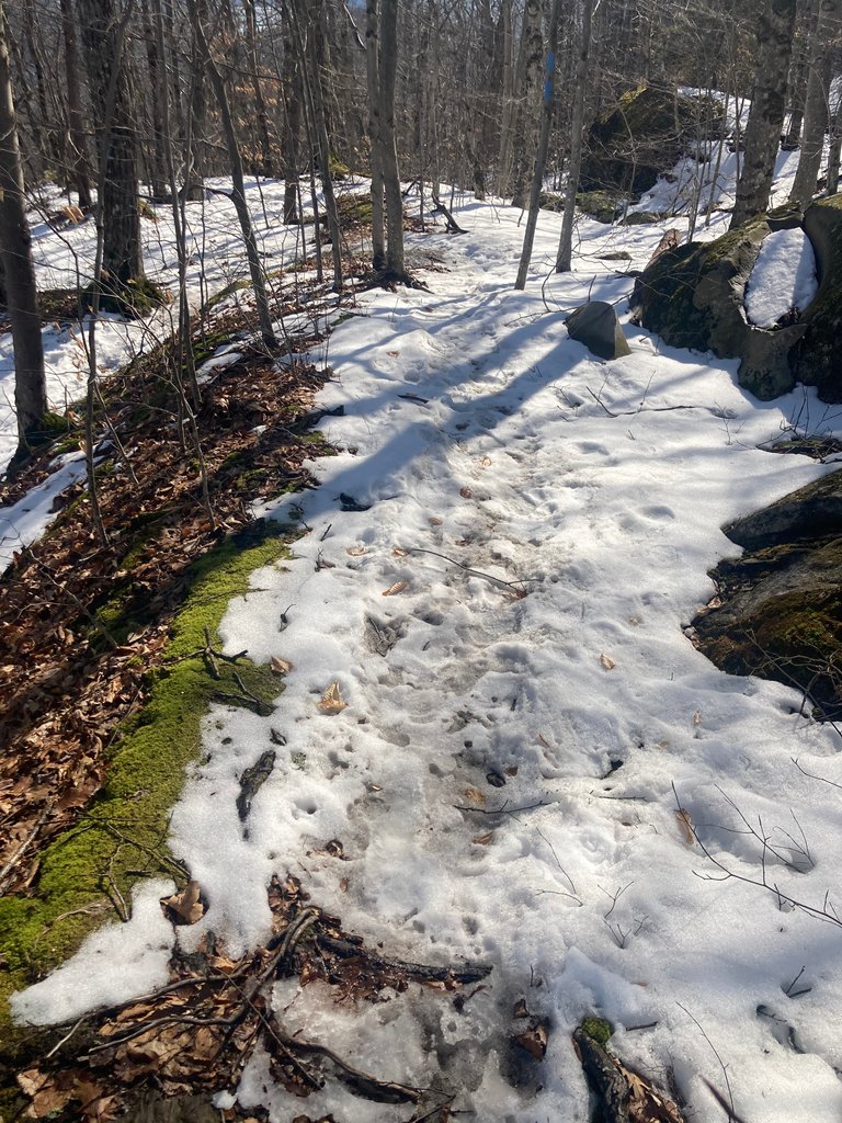 Snow covered trail