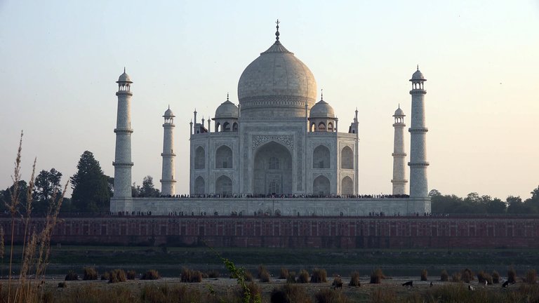 Taj Mahal an extremely precise structure and the 7th new wonder of the ...