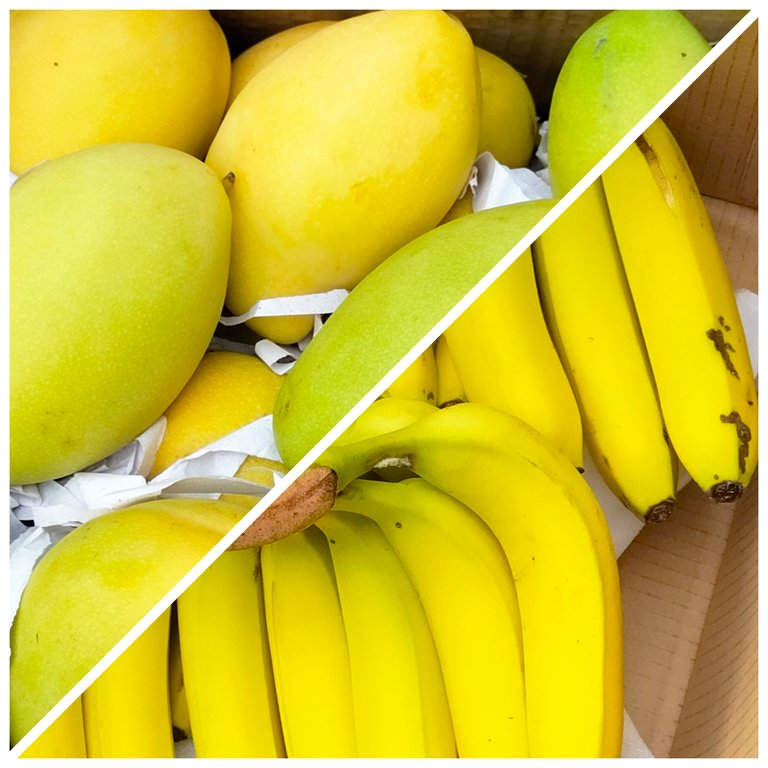 bananas and mangoes photography 