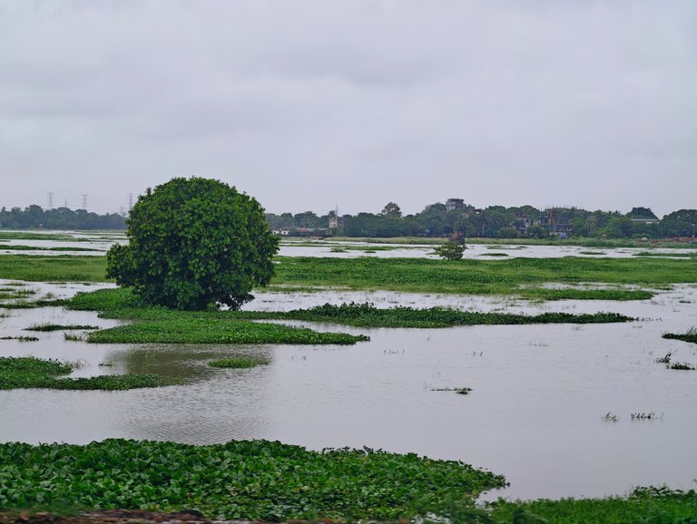 Water And Wetlands In The Dhaka City