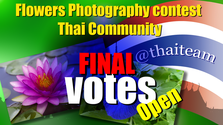 flower_photography_final_vote_3.png