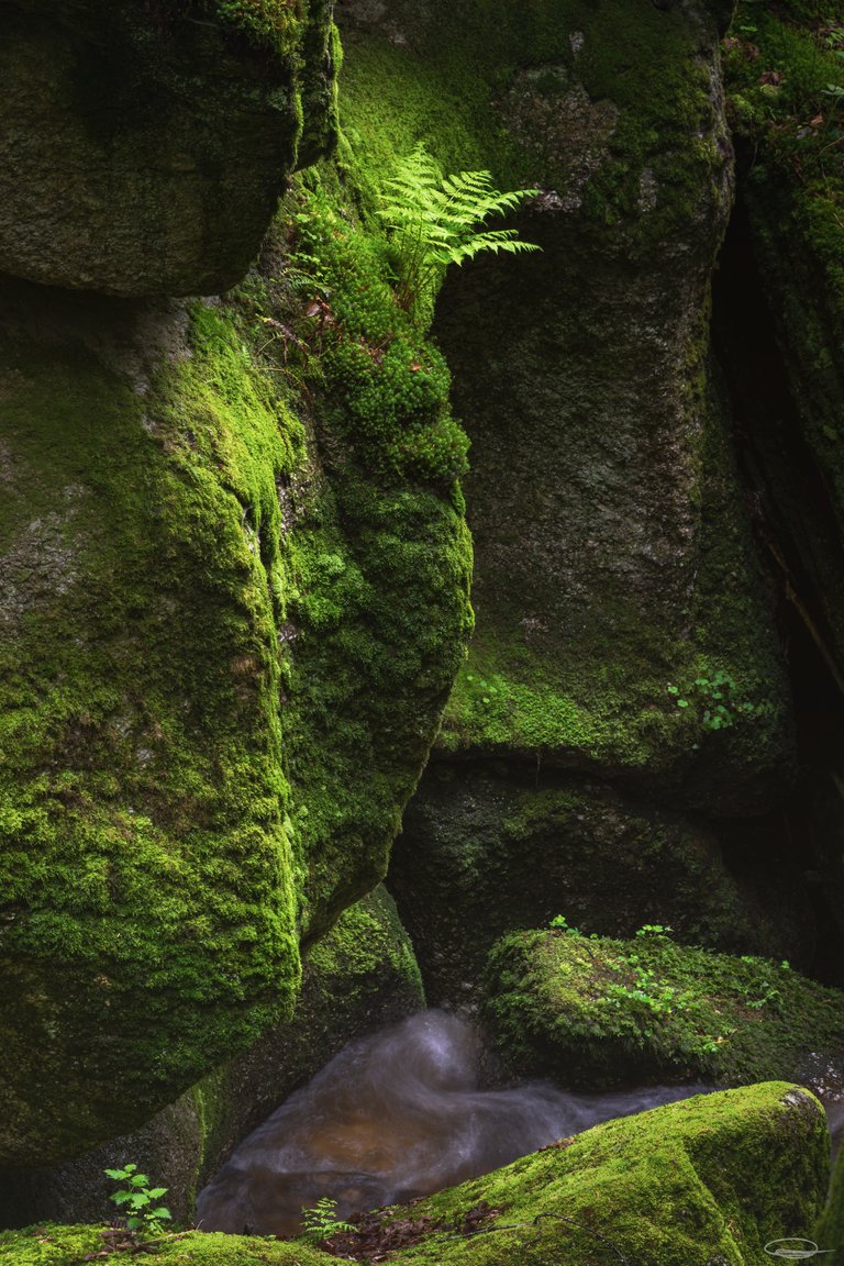 Wolfsschlucht / Wolfs Gorge - Bad Kreuzen - Austria - Johann Piber