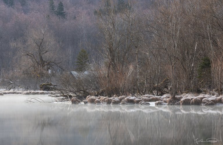 Hive AlphabetHunt Lake Bohinj