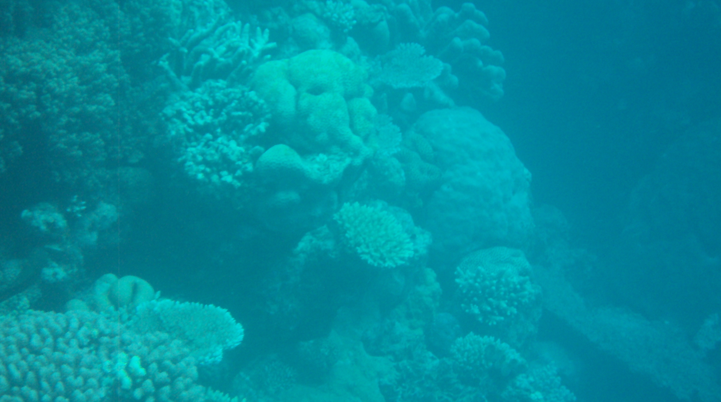 great_barrier_reef_6.png