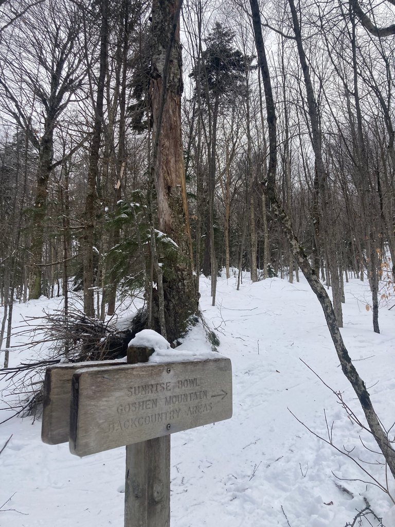 Ski area