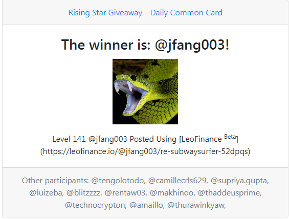 winner_jfang003.png