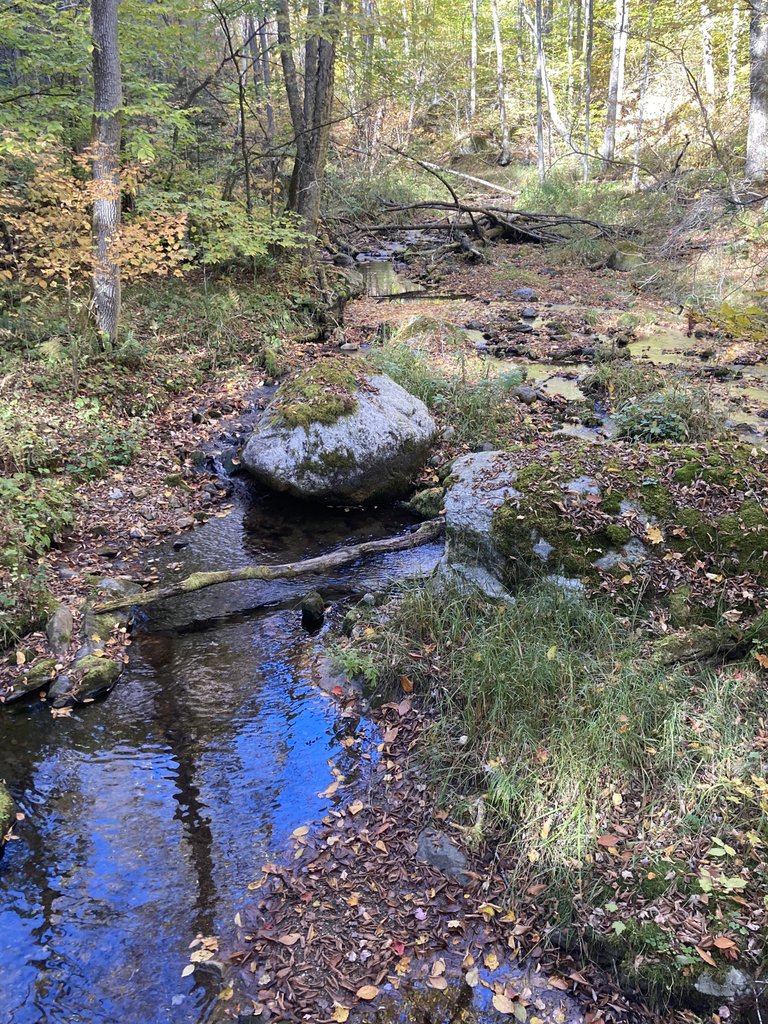 Leicester Hollow Brook