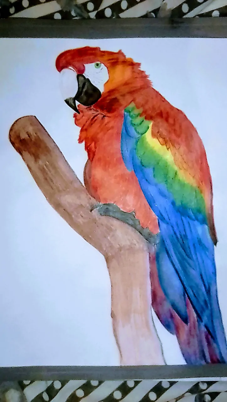 guacamaya.png