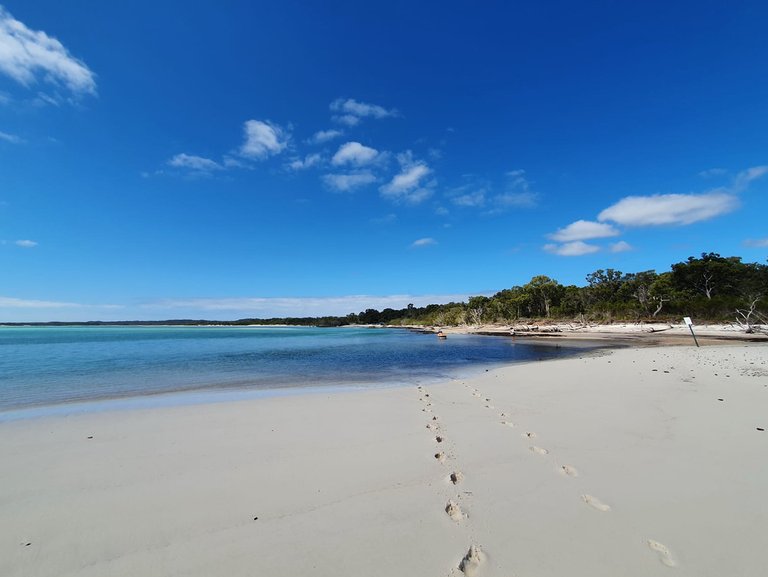 fraser_island_oct_2020_272.jpg