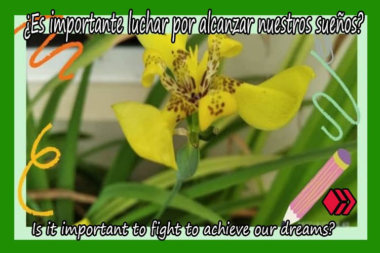 portada_catarsis.jpg